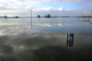 BebWjXfIAAA7k_b.jpg large