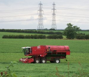 Harvesting_Peas_near_White_Hart_Farm_-_geograph.org.uk_-_1393419