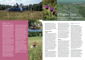 TheGrasslandsTrust_NaturesTapestry 11