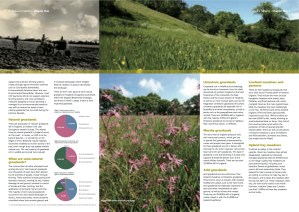 TheGrasslandsTrust_NaturesTapestry 4