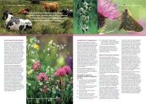 TheGrasslandsTrust_NaturesTapestry 9