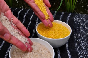Golden Rice - not available yet