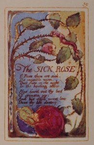 The Sick Rose