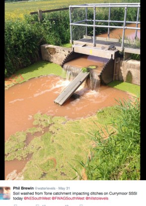 phil brewin maize tweet